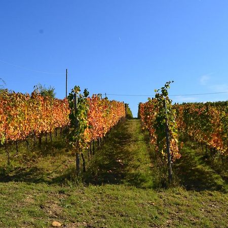 Agriturismo Costa Dei Platani Acqui Terme Buitenkant foto