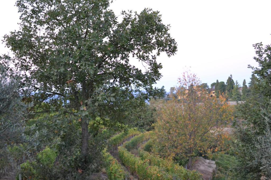 Agriturismo Costa Dei Platani Acqui Terme Buitenkant foto