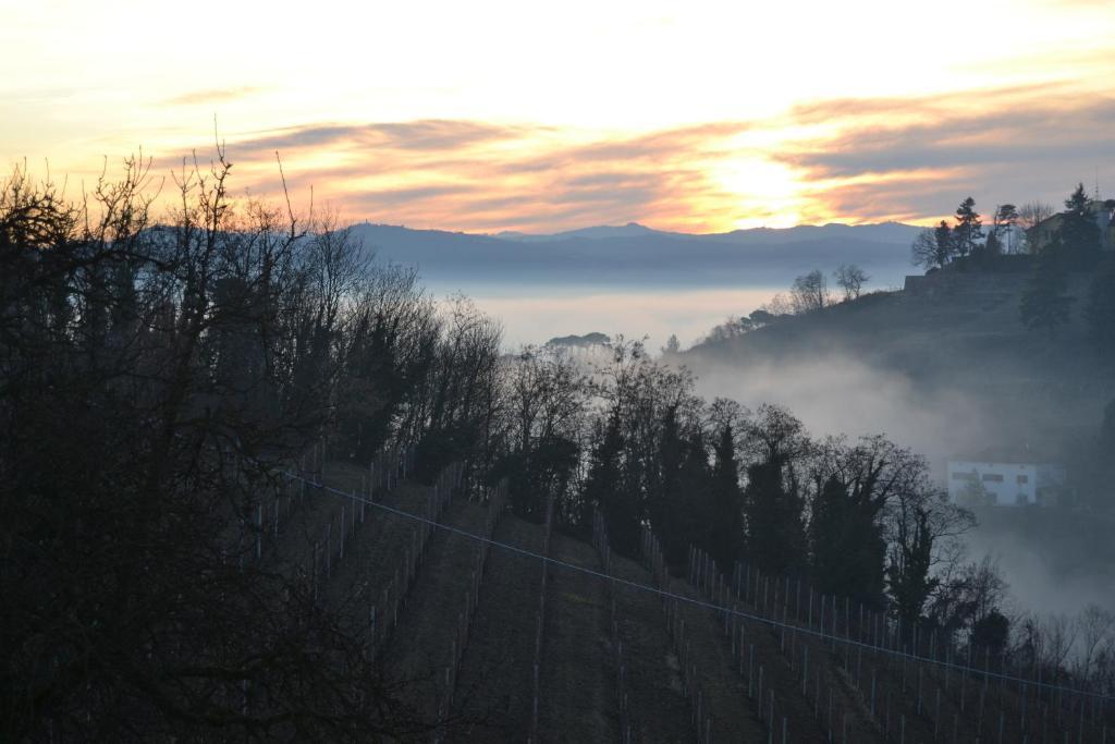 Agriturismo Costa Dei Platani Acqui Terme Buitenkant foto