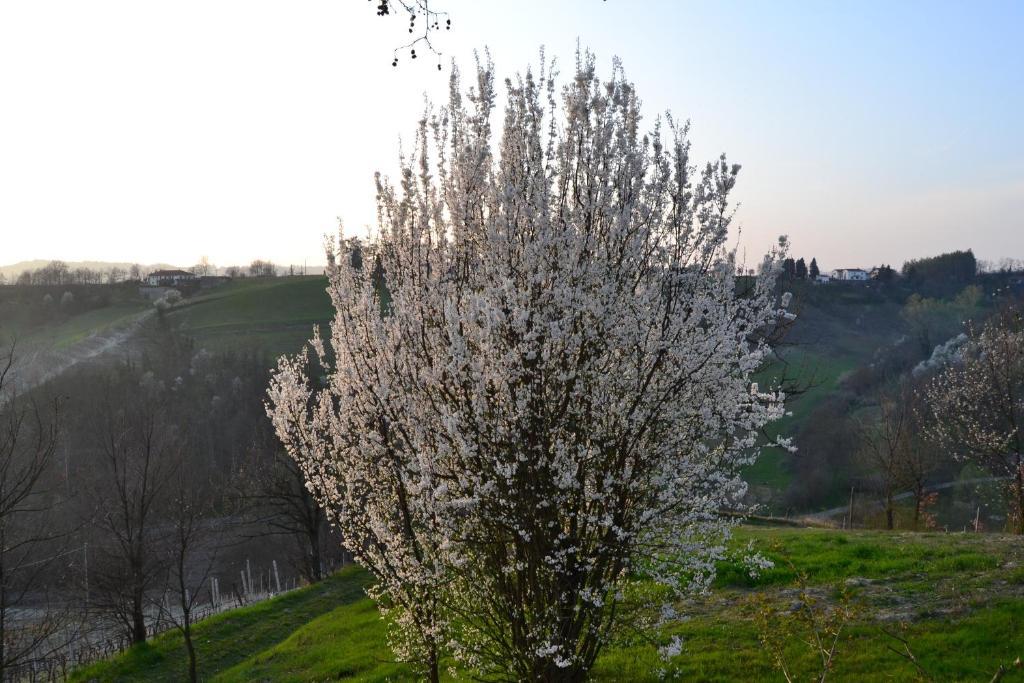 Agriturismo Costa Dei Platani Acqui Terme Buitenkant foto