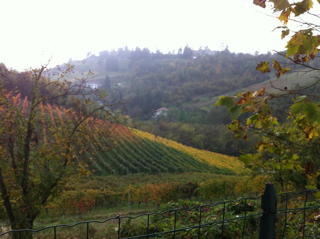 Agriturismo Costa Dei Platani Acqui Terme Buitenkant foto