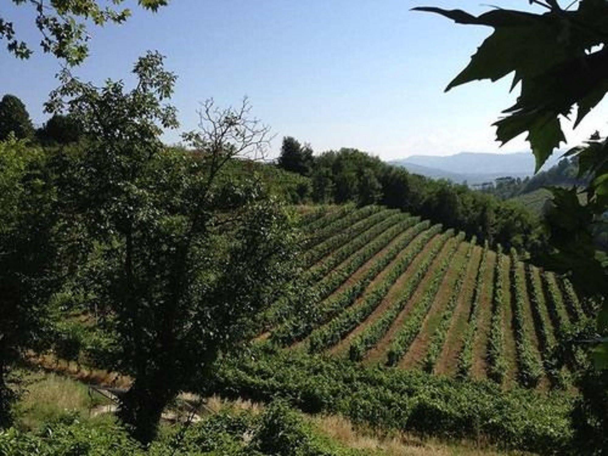 Agriturismo Costa Dei Platani Acqui Terme Buitenkant foto