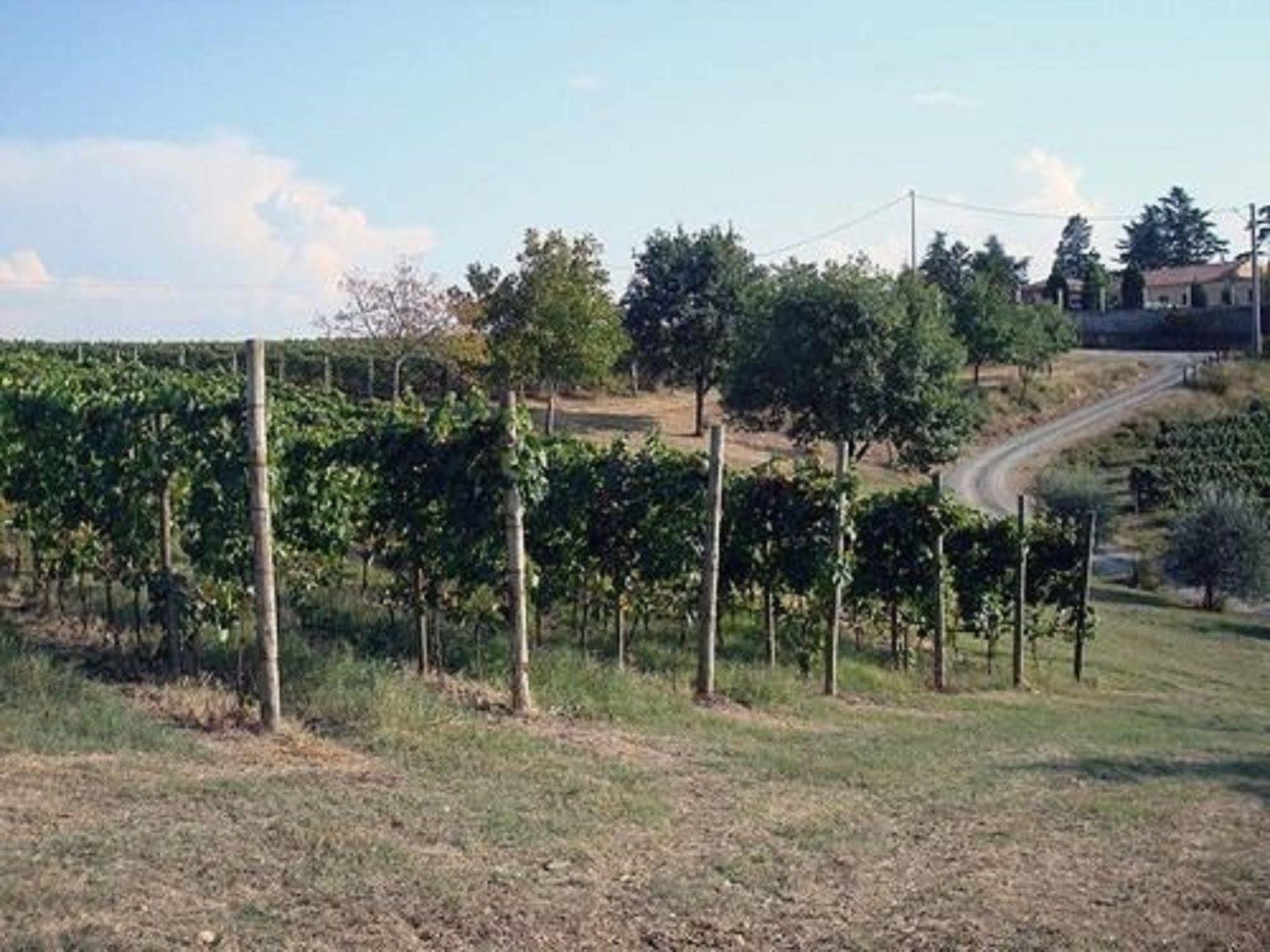 Agriturismo Costa Dei Platani Acqui Terme Buitenkant foto