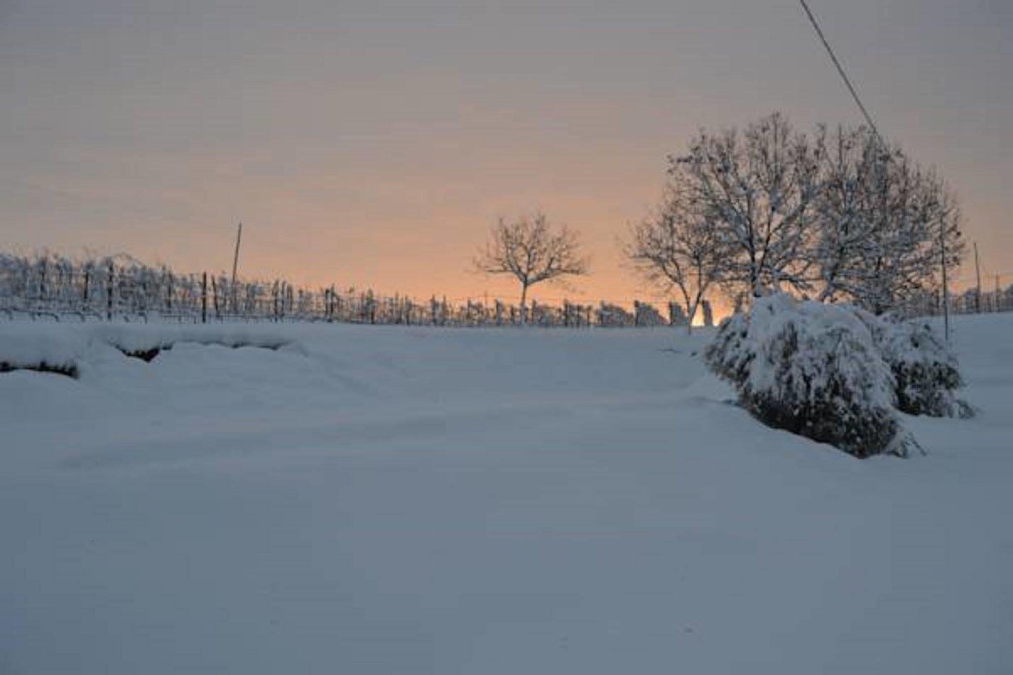 Agriturismo Costa Dei Platani Acqui Terme Buitenkant foto