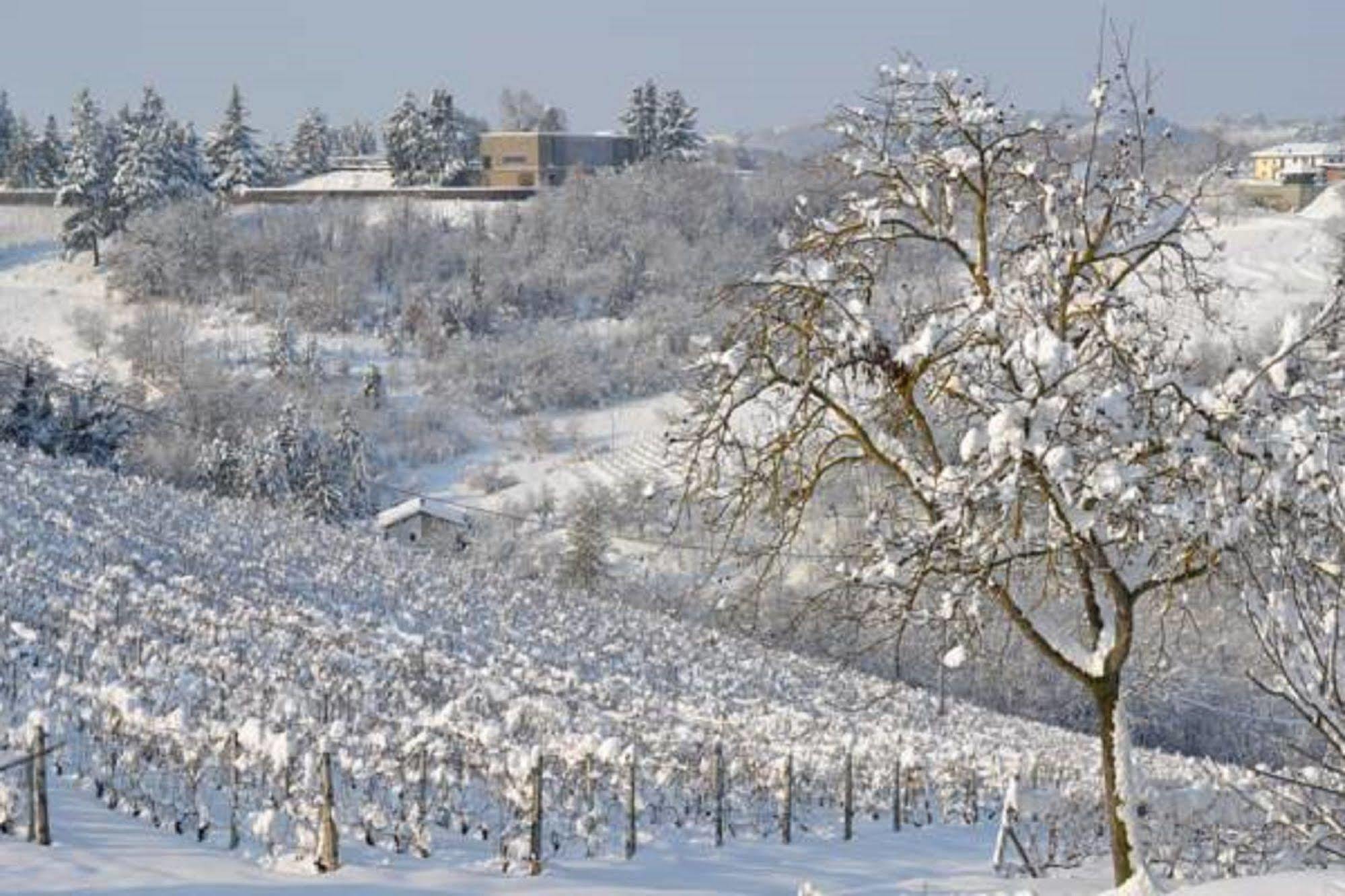 Agriturismo Costa Dei Platani Acqui Terme Buitenkant foto