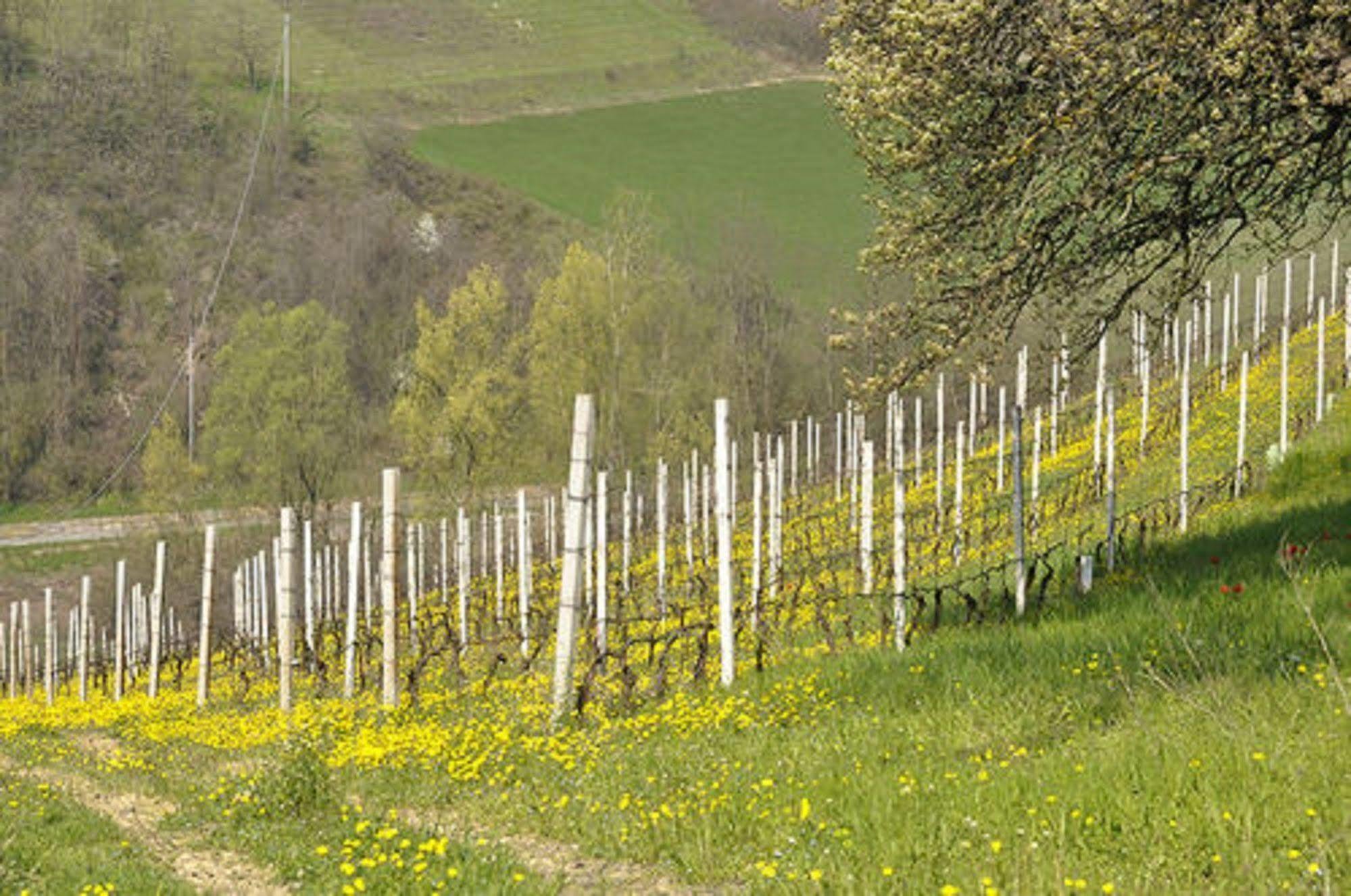Agriturismo Costa Dei Platani Acqui Terme Buitenkant foto