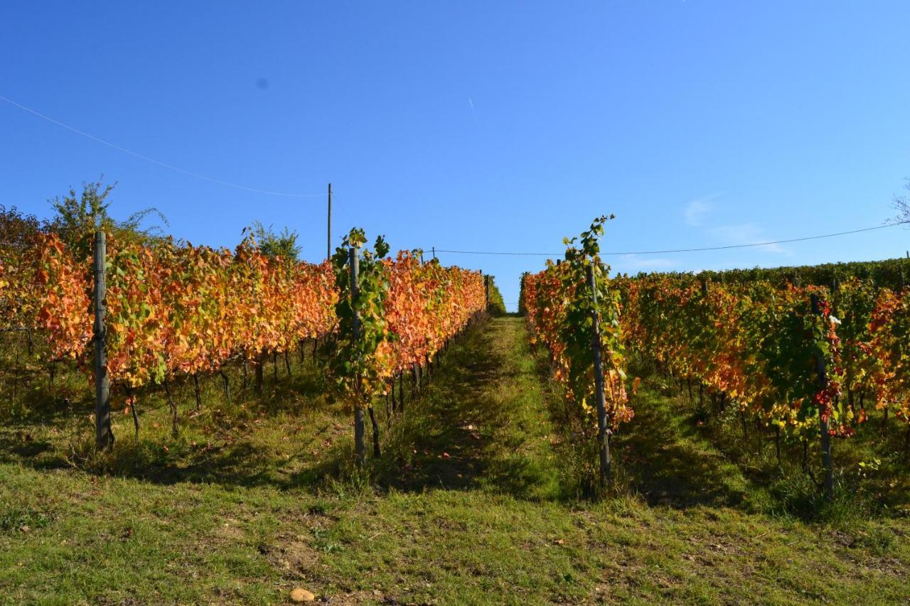 Agriturismo Costa Dei Platani Acqui Terme Buitenkant foto